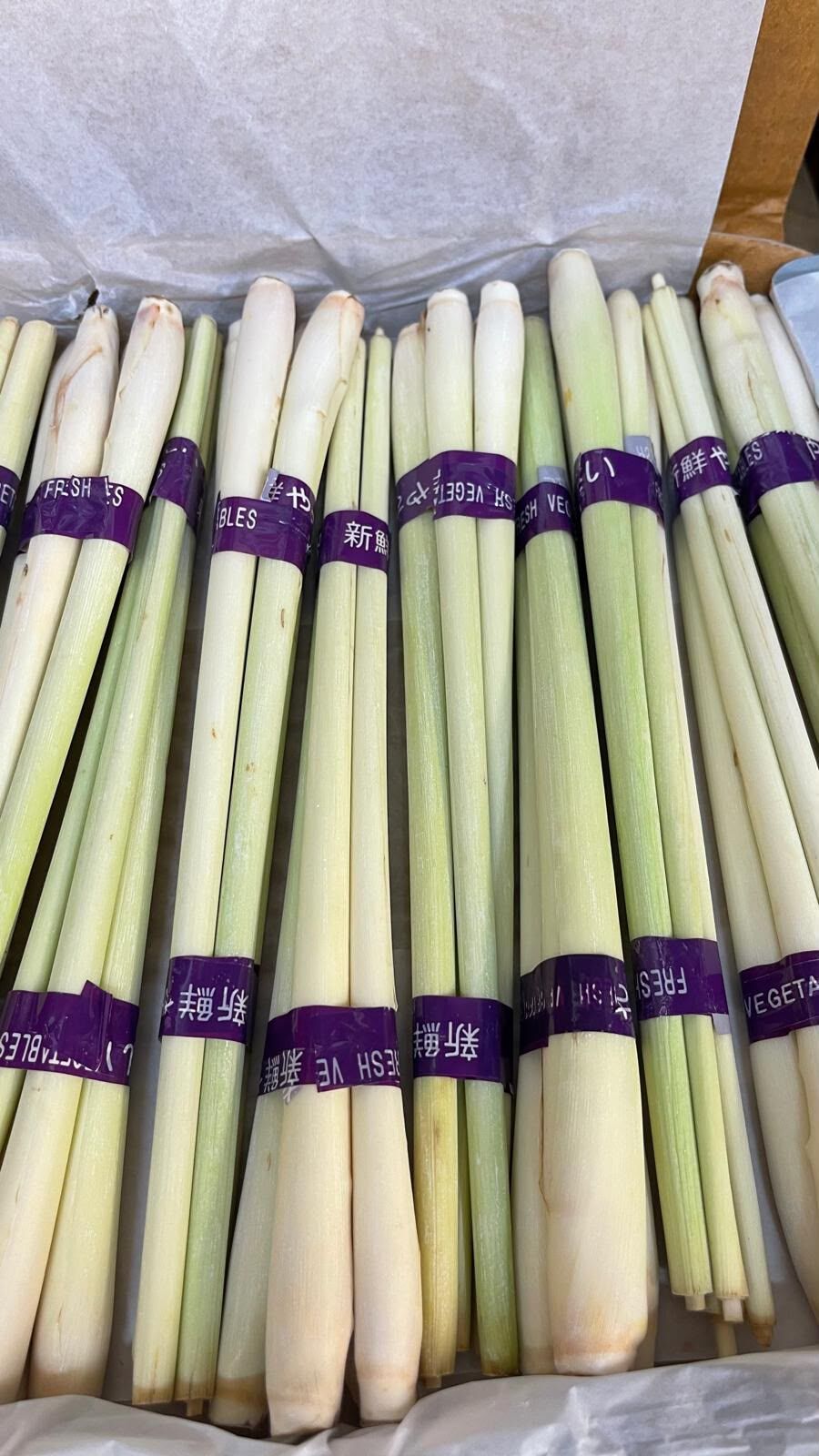 Bundles of fresh lemongrass